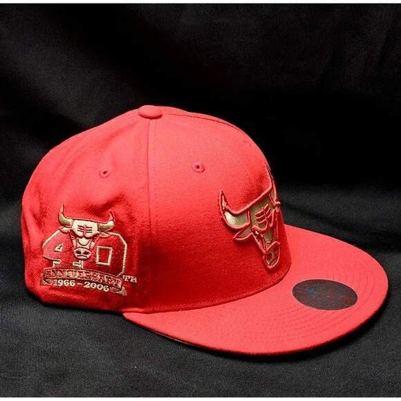 Chicago Bulls Mitchell & Ness Chrome Elements 40th Anniversary Snapback Hat NWT!